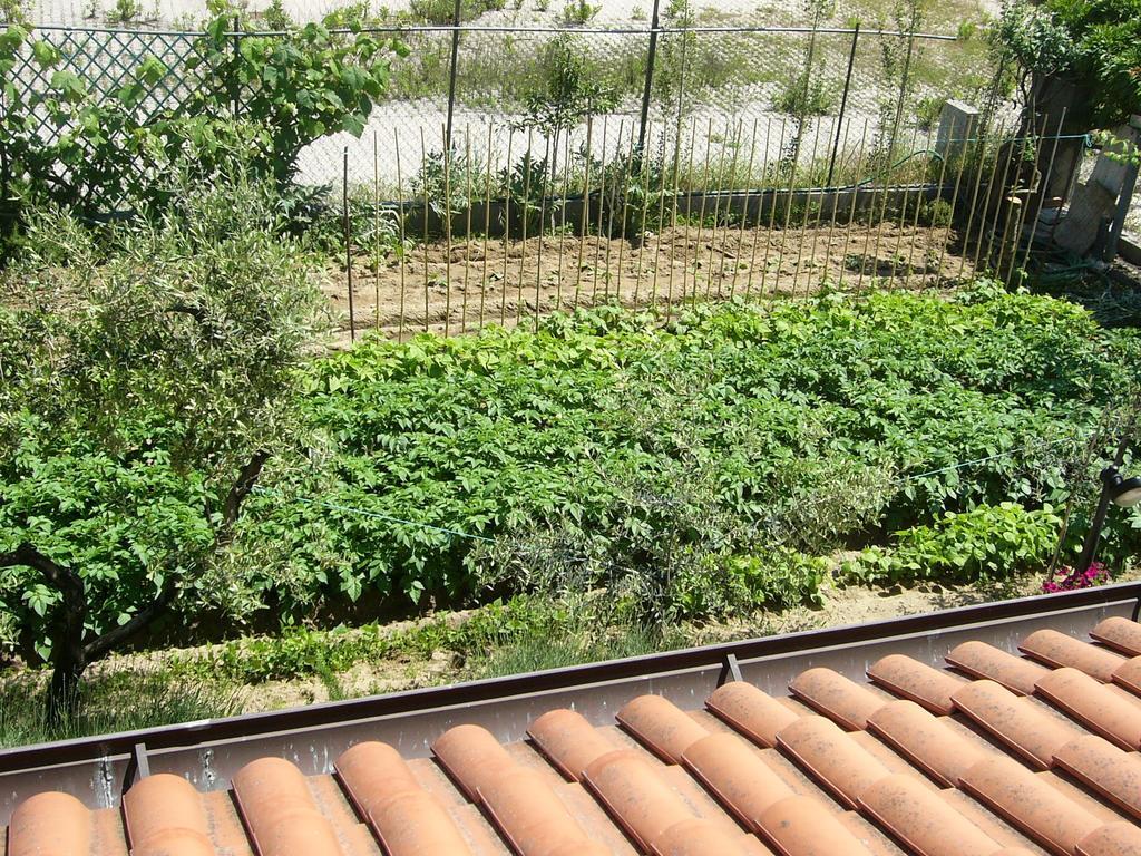 Nonna Alda Bed & Breakfast Viareggio Cameră foto