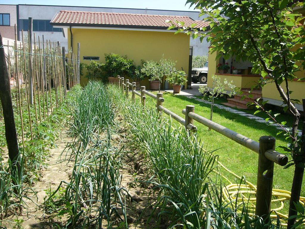 Nonna Alda Bed & Breakfast Viareggio Cameră foto