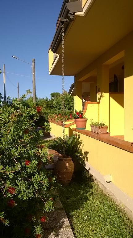 Nonna Alda Bed & Breakfast Viareggio Exterior foto