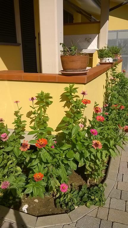 Nonna Alda Bed & Breakfast Viareggio Exterior foto