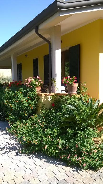 Nonna Alda Bed & Breakfast Viareggio Exterior foto