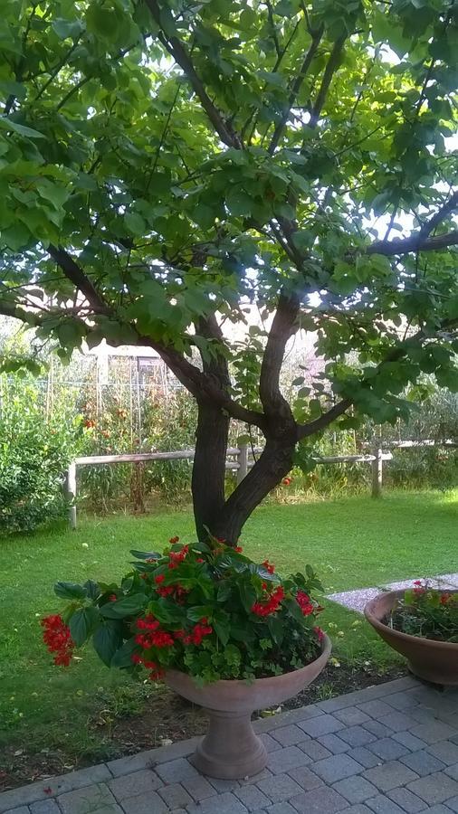 Nonna Alda Bed & Breakfast Viareggio Cameră foto